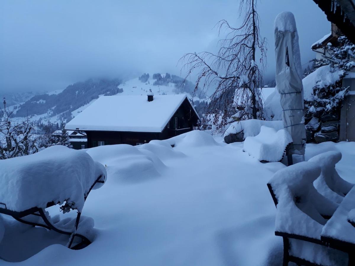 Chalet Gotthelf Gartenstudio, Ferien Mit Hund Адельбоден Экстерьер фото