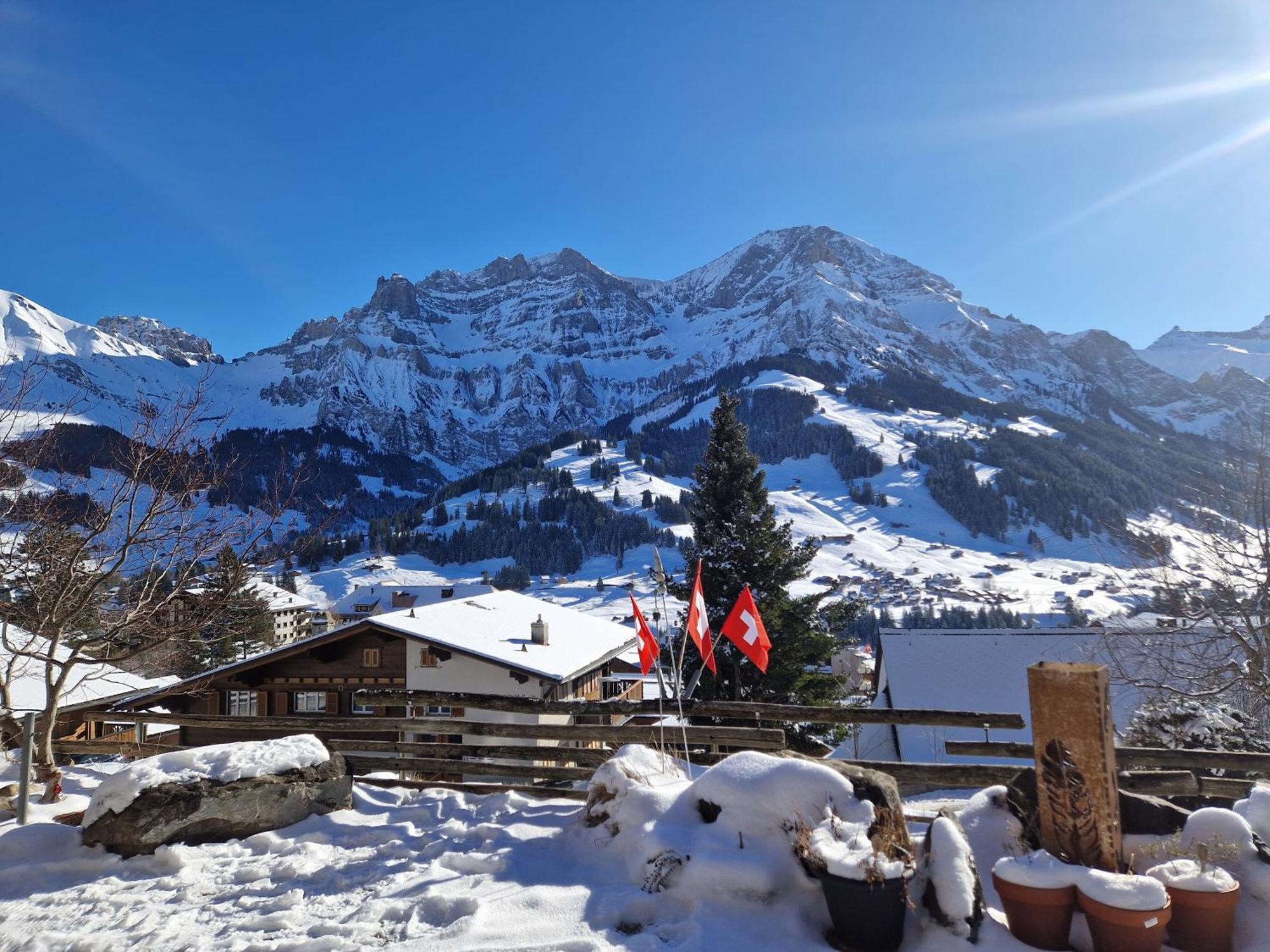 Chalet Gotthelf Gartenstudio, Ferien Mit Hund Адельбоден Экстерьер фото